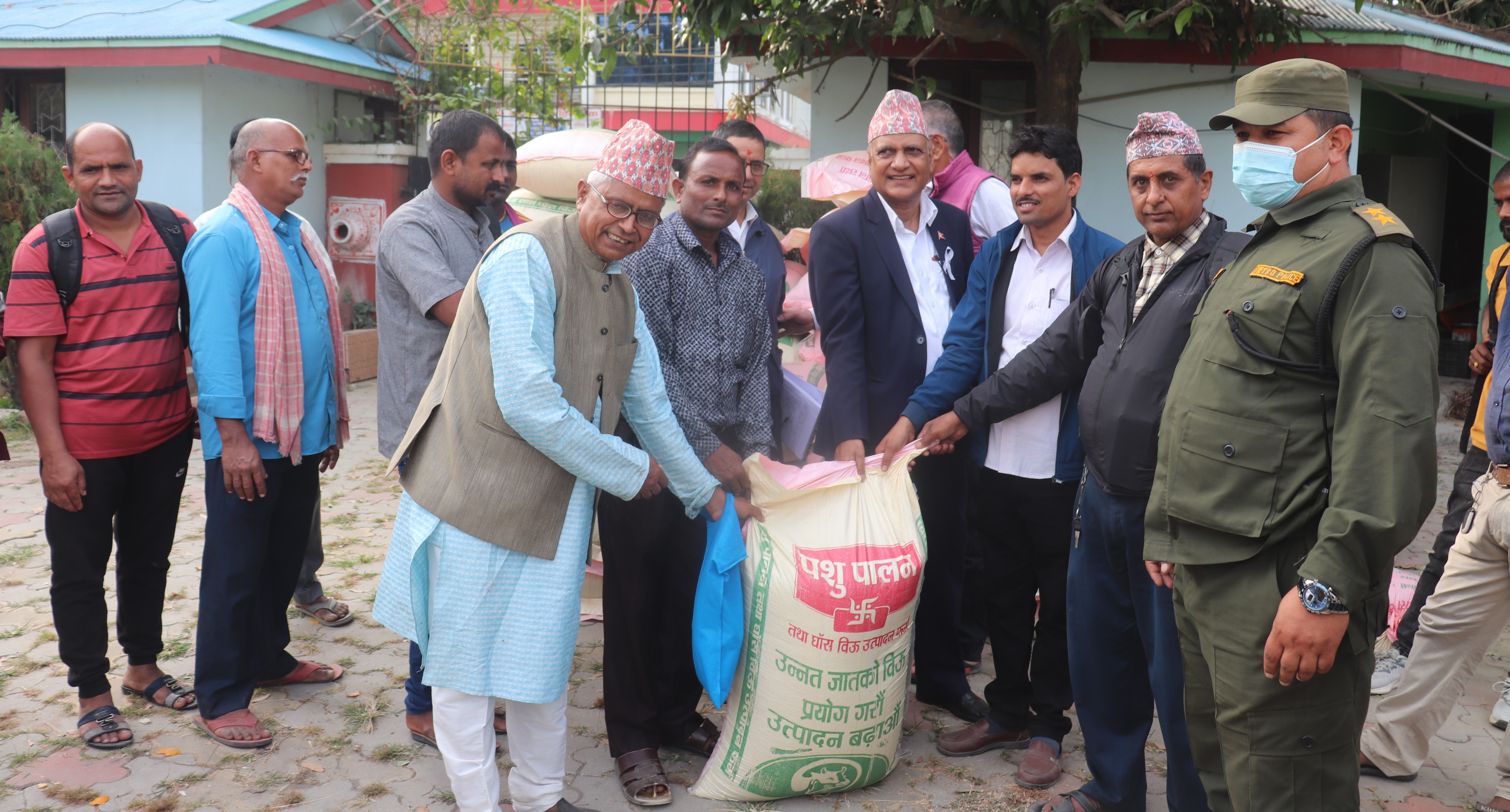 पशुपालक कृषकलाई घाँसको बिऊ वितरण 